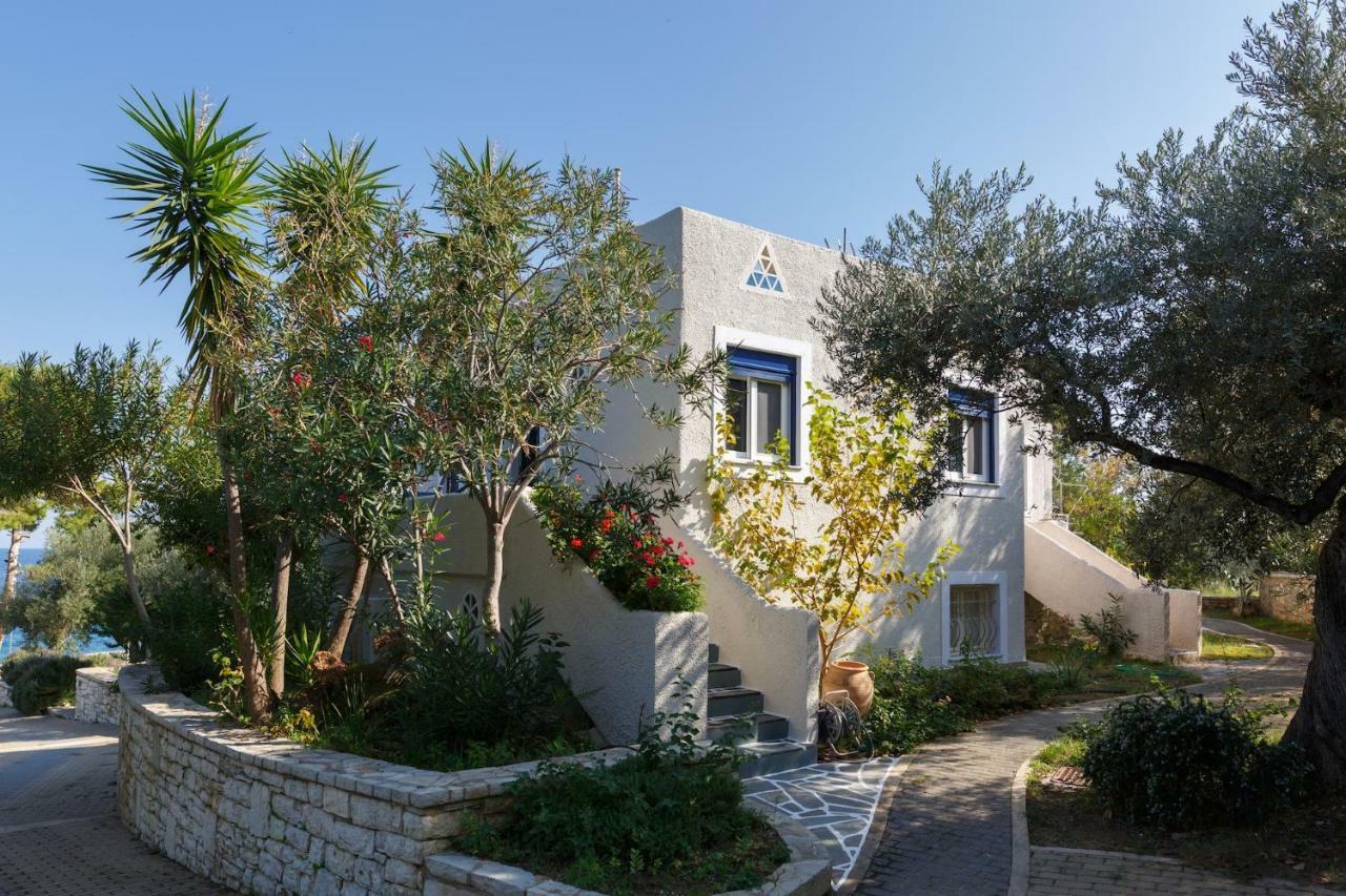 Into The Blue Villa Arkadiko Chorio Luaran gambar